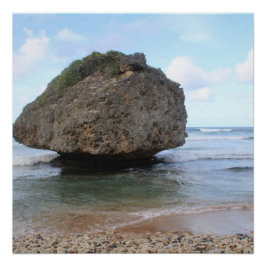 Barbados Big Rock in Bathsheba Perfect Poster