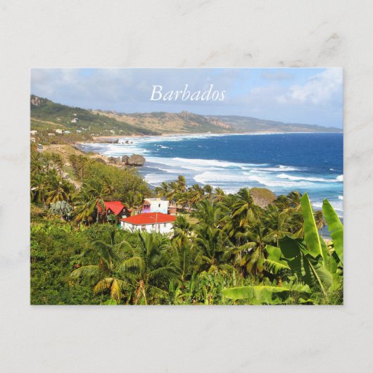 Barbados Briefkaart, Oceaan, tropische bomen Briefkaart (Voorkant)