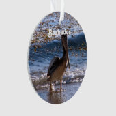 Barbados Brown Pelican Ornament (voorkant)