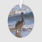 Barbados Brown Pelican Ornament (voorkant)