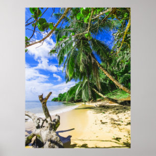 Barbados Caribbean Beach Palm Tree Retreat Poster