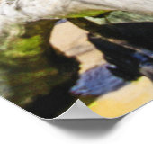 Barbados Caribbean Beach Palm Tree Retreat Poster (Hoek)