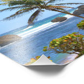 Barbados, Caribisch gebied, oceaan, palmbomen, fot Foto Afdruk (Hoek)