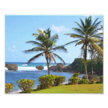 Barbados, Caribisch gebied, oceaan, palmbomen, fot