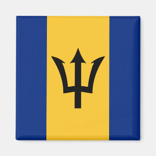Barbados Flag Magneet