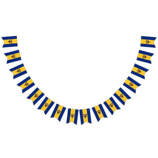 Barbados Flag & Party Barbados Banners / bruiloft (Alle)