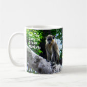 Barbados Green Monkeys Mok (Links)