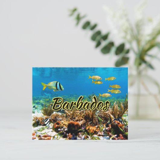 Barbados koraalrif briefkaart (Staand voorkant)
