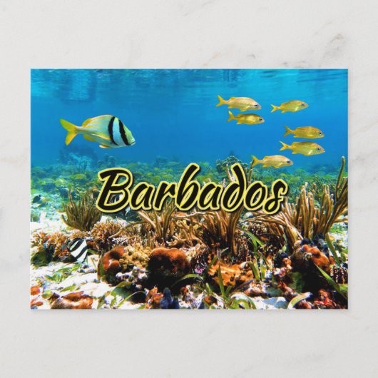 Barbados koraalrif briefkaart (Voorkant)