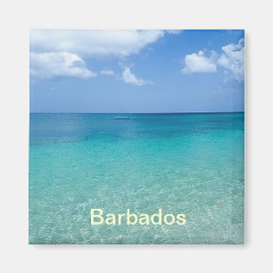 Barbados magneet