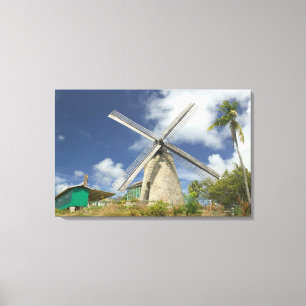 BARBADOS, Noordoostkust, Morgan Lewis: Morgan Canvas Afdruk