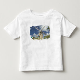 BARBADOS, Noordoostkust, Morgan Lewis: Morgan Kinder Shirts