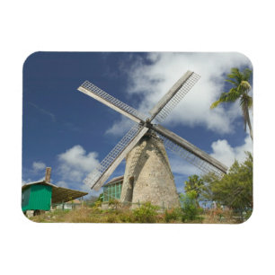 BARBADOS, Noordoostkust, Morgan Lewis: Morgan Magneet