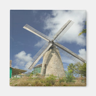 BARBADOS, Noordoostkust, Morgan Lewis: Morgan Magneet
