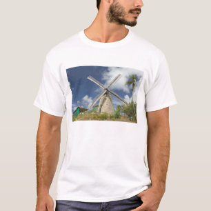 BARBADOS, Noordoostkust, Morgan Lewis: Morgan T-shirt