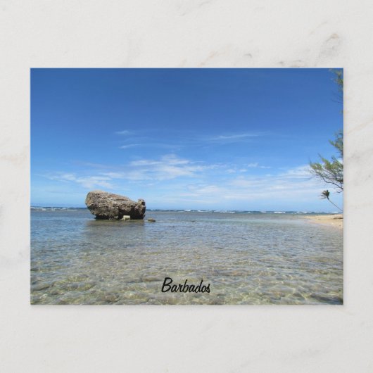Barbados - Oostkust 1 Briefkaart (Voorkant)