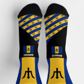 Barbados Sokken, Barbados vlag kleuren / sport Sokken (Top)