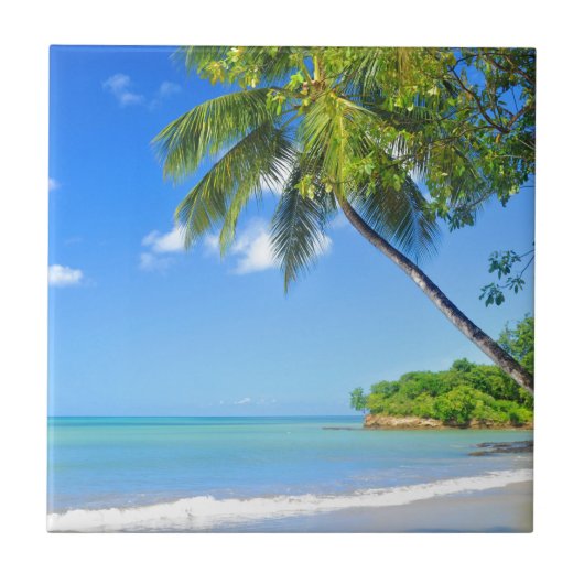 Barbados Tegeltje (Voorkant)