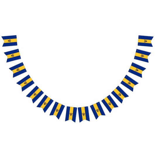 Barbados Vlag brontbanner Vlaggetjes (Alle)