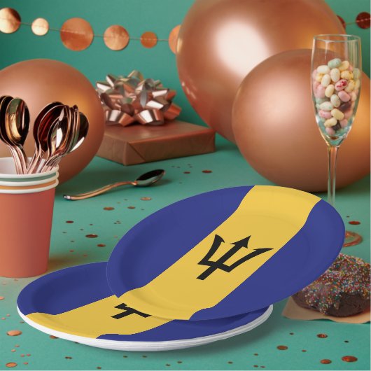 Barbados vlag papieren bordje (Multi)