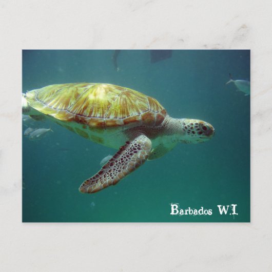 Barbados W.I. Briefkaart (Voorkant)