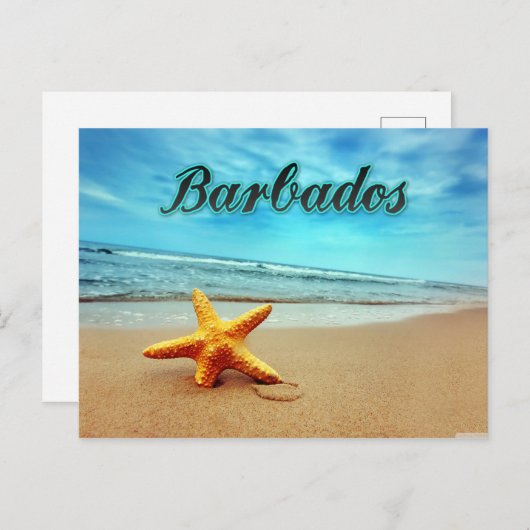 Barbados-zeester Briefkaart (Voorkant / Achterkant)