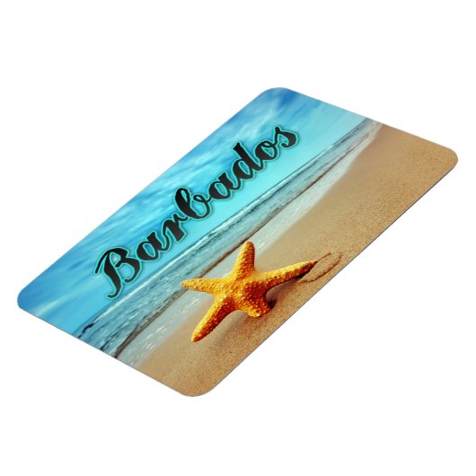 Barbados-zeester Magneet (Linkerzijde)