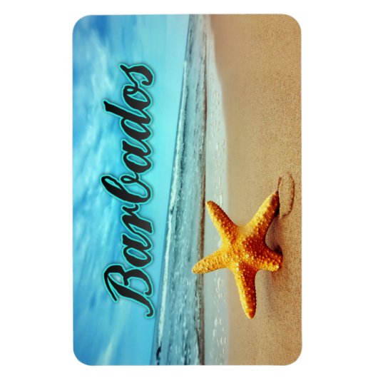 Barbados-zeester Magneet (Verticaal)