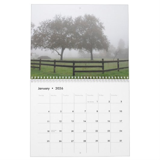 Barbara Hall - Travels: Thuis en buitenland, 2012 Kalender (Jan 2026)