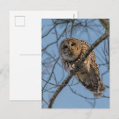 Barbarij Feestdagenkaart (Voorkant / Achterkant)