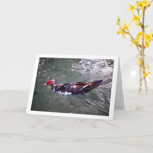 Barbarijse eend kaart (Gele Bloem)