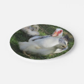 Barbarijse eenden en slangen papieren bordje (Gekanteld)