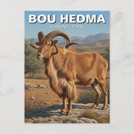 Barbarijse schapen in Bou Hedma National Park Tune Briefkaart