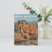 Barbarijse schapen in Bou Hedma National Park Tune Briefkaart (Staand voorkant)