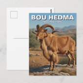 Barbarijse schapen in Bou Hedma National Park Tune Briefkaart (Voorkant / Achterkant)
