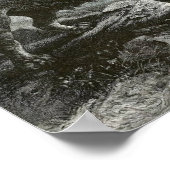 Barbary Lion Poster (Hoek)