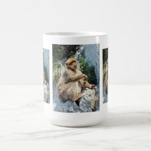 Barbary macaque aap koffiemok