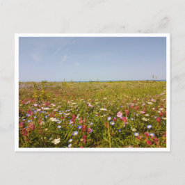 Barbate, Andalusië (Spanje) Briefkaart