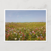 Barbate, Andalusië (Spanje) Briefkaart (Voorkant)