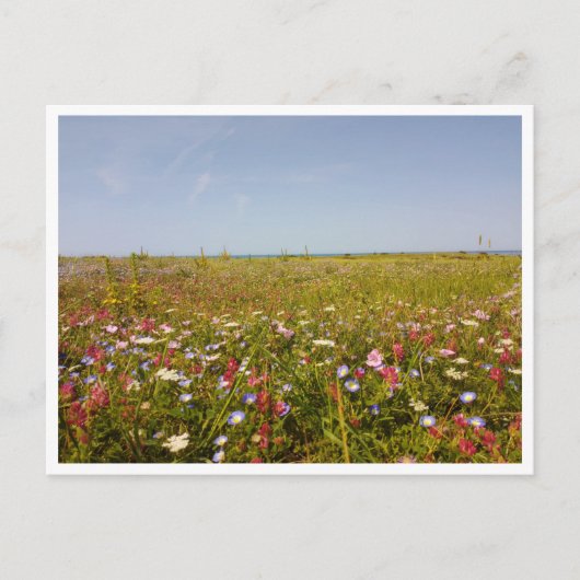 Barbate, Andalusië (Spanje) Briefkaart (Voorkant)