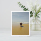 Barbate, Andalusië (Spanje) Briefkaart (Staand voorkant)