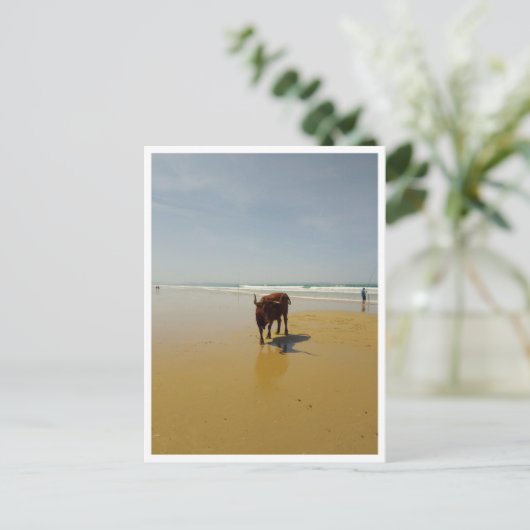 Barbate, Andalusië (Spanje) Briefkaart (Staand voorkant)