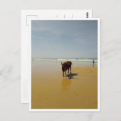 Barbate, Andalusië (Spanje) Briefkaart (Voorkant / Achterkant)