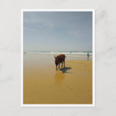 Barbate, Andalusië (Spanje) Briefkaart (Voorkant)