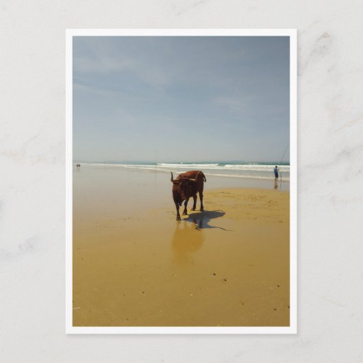 Barbate, Andalusië (Spanje) Briefkaart (Voorkant)