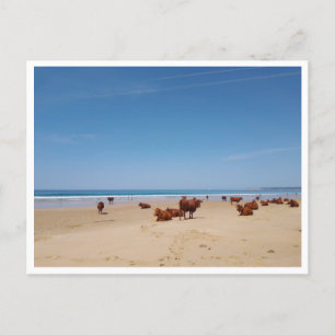 Barbate, Andalusië (Spanje) Briefkaart