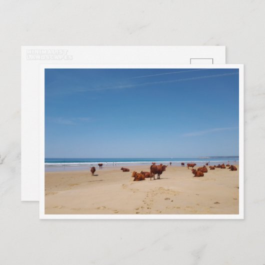 Barbate, Andalusië (Spanje) Briefkaart (Voorkant / Achterkant)