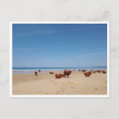 Barbate, Andalusië (Spanje) Briefkaart (Voorkant)