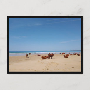 Barbate, Andalusië (Spanje) Briefkaart