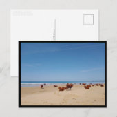 Barbate, Andalusië (Spanje) Briefkaart (Voorkant / Achterkant)